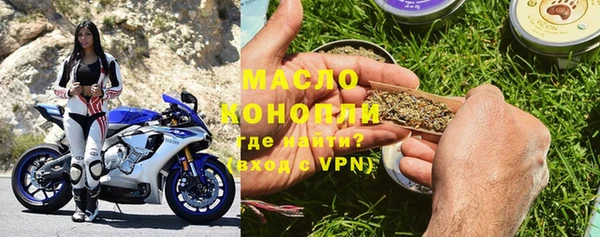 мдпв Инсар