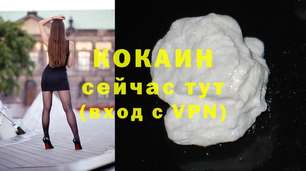 мдпв Инсар