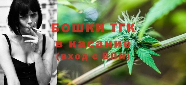 мдпв Инсар