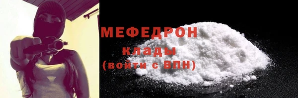 мдпв Инсар