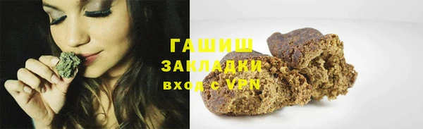 мдпв Инсар