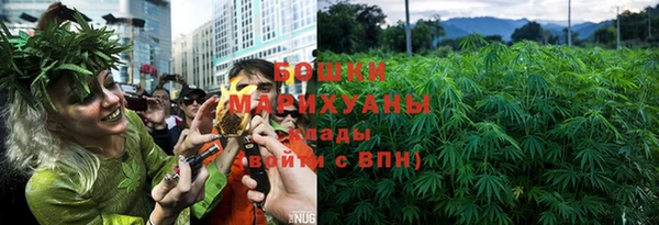 мдпв Инсар