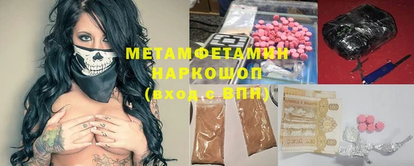 мдпв Инсар