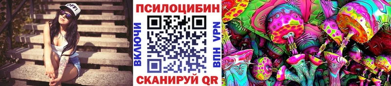 Купить закладки  Бикин  Галлюциногенные грибы GOLDEN TEACHER 